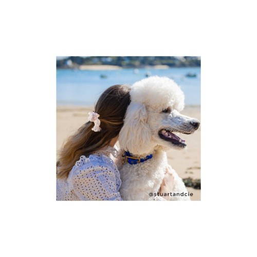 poodle-hair-claw.jpg