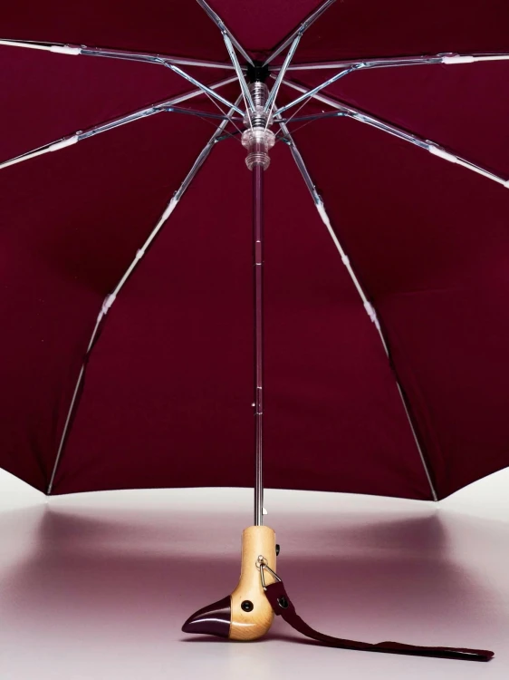 original-duckhead-cherry-wind-resistant-best-umbrella_4.webp.jpeg
