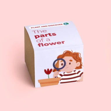 ODKRYJ CZĘŚCI KWIATU – ZESTAW DO SADZENIA