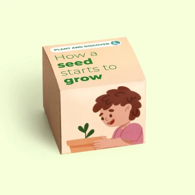 PLANT AND DISCOVER – JAK KIEŁKUJE NASIONO