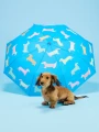 dogs-homepage.webp