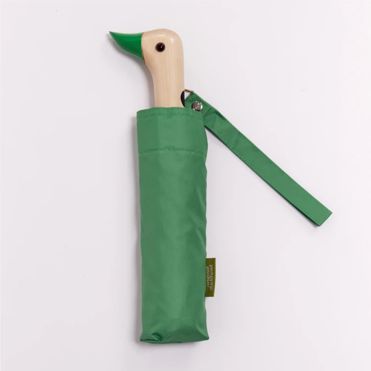 CS115_1.png.webp