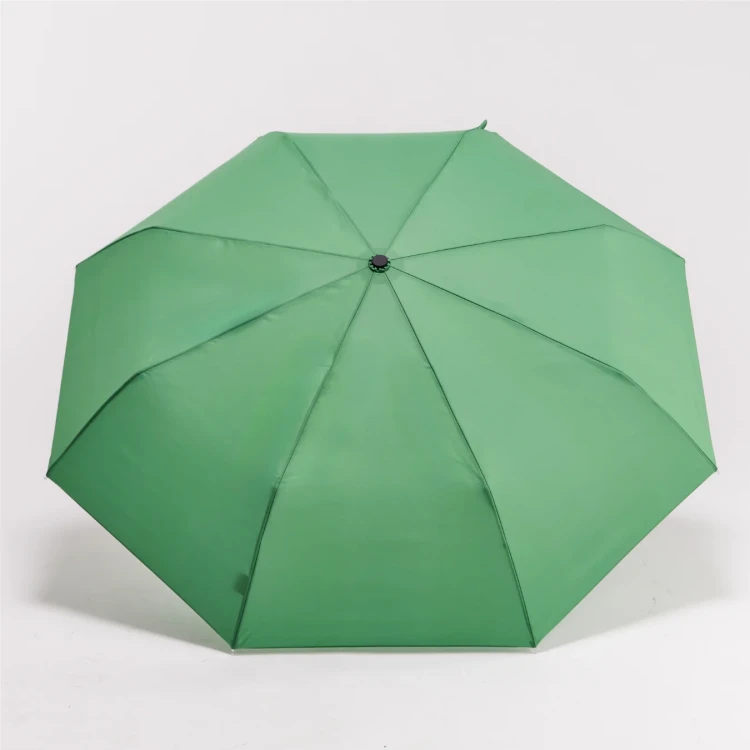 CS115_3.png.webp